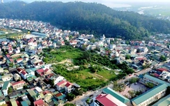 Nghệ An: Gỡ nút thắt 12 dự án trọng điểm, kiên quyết xử lý dự án treo