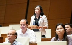 Đại biểu đề xuất mở rộng giám sát mô hình chính quyền hai cấp