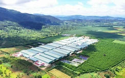 Quý I/2026, OCB ghi nhận lợi nhuận đạt 1.224 tỷ đồng
