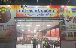 Triệt phá trường gà quốc tế có giao dịch đánh bạc hơn 1.200 tỷ đồng, khởi tố 196 bị can