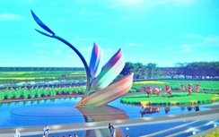 Cà Mau: Thành lập Bảo tàng Lúa nước, tổ chức thi “Gạo ngon”