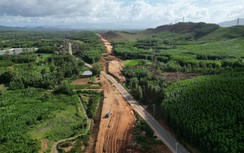 Gia Lai chuyển đổi gần 53ha rừng phục vụ tuyến đường trọng điểm
