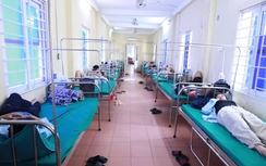 Phát hiện vi khuẩn Salmonella trong bánh mỳ gây ra vụ ngộ độc ở Nghệ An
