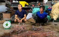 Bắt đối tượng cắt trộm gần 1km cáp điện trên cao tốc Bến Lức - Long Thành