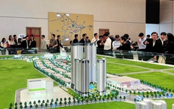 Có bao nhiêu doanh nghiệp môi giới bất động sản đang hoạt động tại Hà Nội?