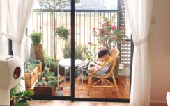 Thiết kế ban công trong nhà ở hiện đại: Từ không gian đệm đến giá trị sống thực