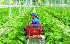 Bảo hiểm sẽ thay đổi tư duy sản xuất nông nghiệp