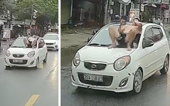 Hà Nội: Khởi tố bố vợ và con rể vụ "ngồi trên kính chắn gió để đòi ô tô'' ở Quảng Oai