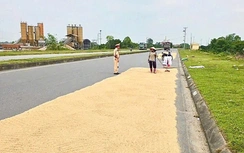 Nhiều địa phương tăng cường xử lý tình trạng phơi lúa, rơm rạ lấn chiếm lòng đường