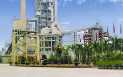 Vicem Hải Phòng nỗ lực giảm “dấu chân” carbon