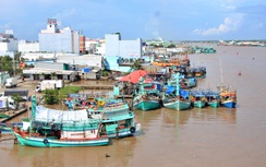 Chống khai thác IUU: Cà Mau siết chặt giám sát, truy xuất nguồn gốc và chú trọng sinh kế