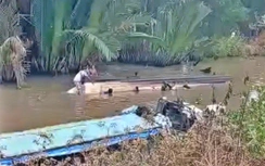 Cà Mau: Đò chở nhóm du khách va gốc cây ven sông, nhiều người rơi xuống nước