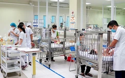 Gia tăng trẻ nhập viện do chó, mèo cắn