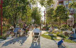 Toronto quy hoạch khu phố đặc biệt, biến đường phố thành công viên, giảm thiểu ngập lụt