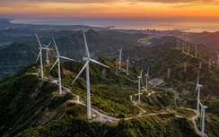 Quảng Ninh đẩy mạnh phát triển điện gió, hướng tới trung tâm năng lượng xanh phía Bắc