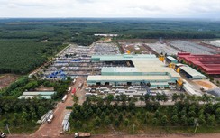 Sản xuất bê tông xanh - Hướng đi bền vững của Hùng Vương