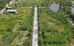 Công khai và xử lý vi phạm đất đai