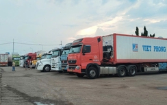 Đồng Nai: Chỉ đạo xử lý gấp tình trạng ùn tắc xe container chở sầu riêng ở Dầu Giây
