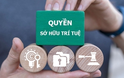 Thủ tướng chỉ đạo mở đợt cao điểm toàn quốc chống xâm phạm quyền sở hữu trí tuệ