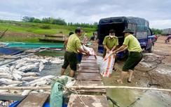 Đồng Nai: Nguyên nhân ban đầu khiến 250 tấn cá chết ở hồ Trị An