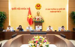 Dự kiến thành lập 4 đoàn giám sát việc sử dụng trụ sở công tại 12 tỉnh, thành phố