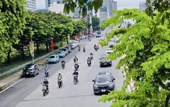 Chủ tịch Hà Nội lý giải việc thu hẹp đối tượng được hỗ trợ chuyển đổi sang xe điện