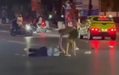 Hải Phòng bắt giữ đối tượng dùng dao tấn công người dân và công an