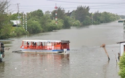 Cà Mau ban hành quy định mới về giá dịch vụ phà