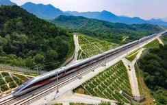 Ninh Bình khẩn trương GPMB cho dự án đường sắt tốc độ cao Bắc - Nam
