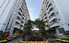 TP.HCM: Doanh nghiệp cam kết phát triển gần 100.000 căn nhà ở xã hội cho thuê
