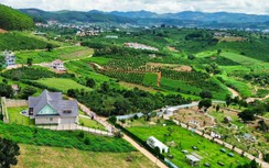 Bộ Xây dựng hướng dẫn thủ tục thông báo nhà ở đủ điều kiện kinh doanh đang thế chấp