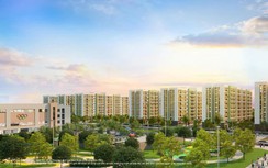 The Rise mang chuẩn sống xanh đến cực tăng trưởng Nam Hải Phòng