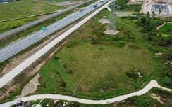 Nghệ An: Lên phương án xử lý hơn 2ha đất lúa bỏ hoang cạnh cao tốc