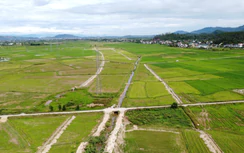 Tiến độ giải phóng mặt bằng cao tốc Vinh - Thanh Thủy ra sao?