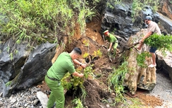 Tuyên Quang: Chủ động phương án bảo đảm giao thông an toàn mùa mưa bão