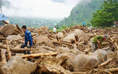 Sau lũ quét, người Mường Than gom từng khúc cây rừng ngổn ngang gây dựng lại cuộc sống