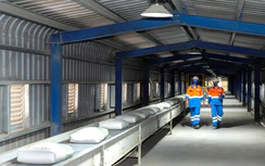 Thị trường xi măng tháng 6 giảm nhẹ: Tín hiệu hạ nhiệt hay suy yếu?