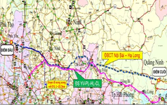 Nghiên cứu chuyển đoạn Lim - Phả Lại thành đường sắt địa phương
