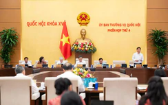 Thường vụ Quốc hội cho ý kiến thí điểm cơ chế đặc thù xây khu đô thị lấn biển tại Đà Nẵng