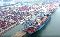 Đón tàu lớn vượt thiết kế: Cảng biển bắt buộc lập phương án điều động, đánh giá rủi ro