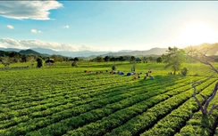 Hà Tĩnh: Các xã miền núi sắp xếp lại không gian phát triển để thu hút đầu tư