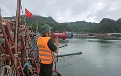 Hải Phòng kích hoạt phương án bảo đảm an toàn tàu thuyền trước bão số 1