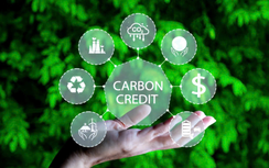Tín chỉ carbon: Chạy đà trước khi "vươn biển lớn"