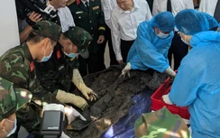 Tìm thấy thêm 2 hài cốt liệt sĩ tại Công viên Lê Thị Riêng