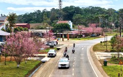 Quảng Ngãi: Khởi công khu đô thị gần 6.700 tỷ đồng tại Măng Đen trong năm 2026