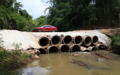 Đồng Nai thông qua chuyển đổi 2,67ha rừng để làm cầu Mã Đà