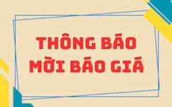 Cảng hàng không quốc tế Nội Bài mời chào giá mua đèn LED chiếu sáng sân đỗ