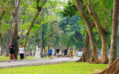 Không gian công cộng - hạ tầng thiết yếu cho đô thị bền vững