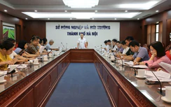 Hà Nội đặt mục tiêu 80% xã đạt chuẩn nông thôn mới vào năm 2030