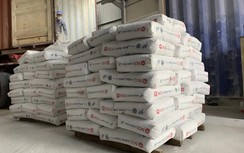 Thị trường xi măng tháng 7 phục hồi mạnh, tiêu thụ nội địa dẫn đầu